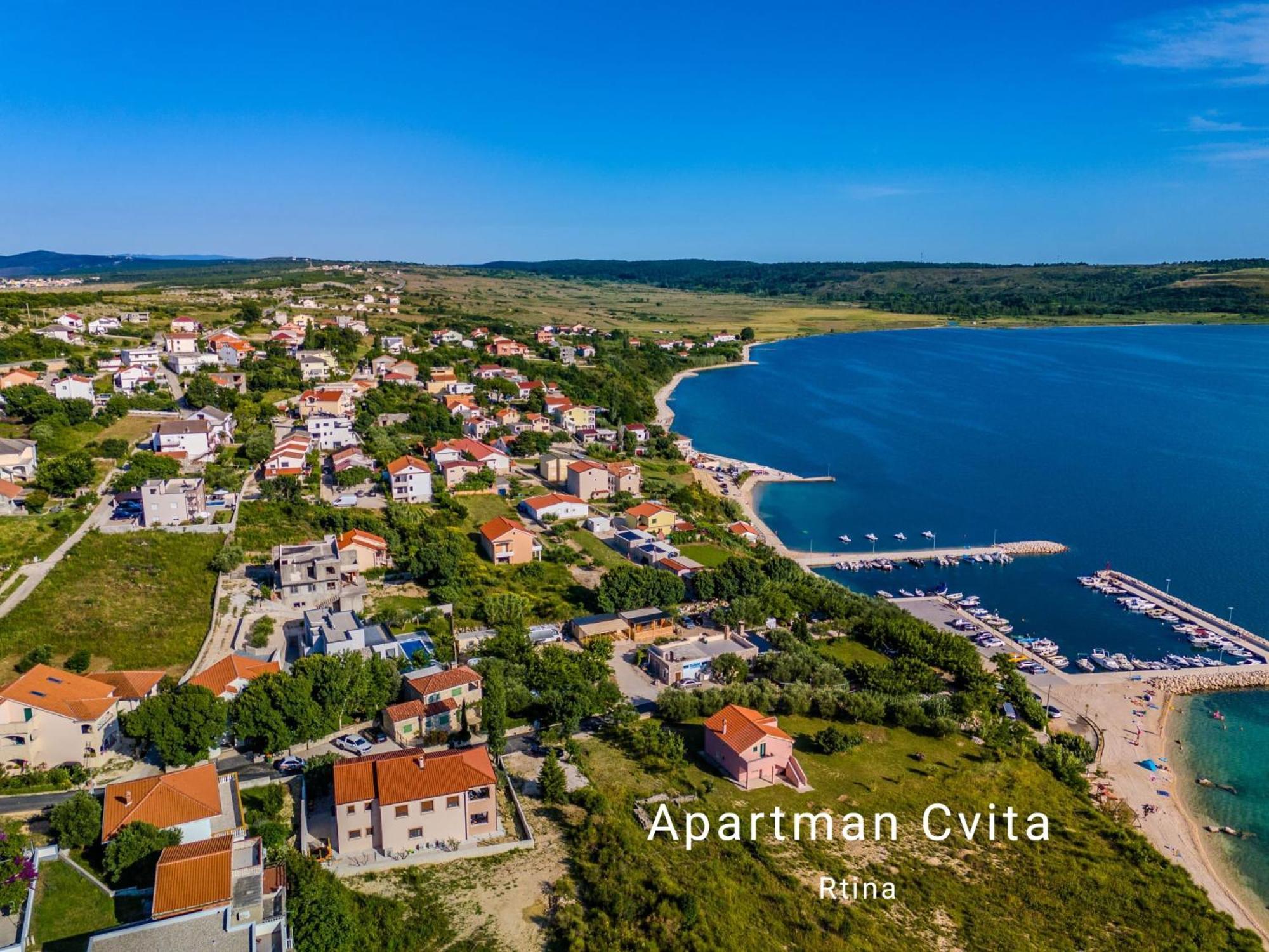 Cvita